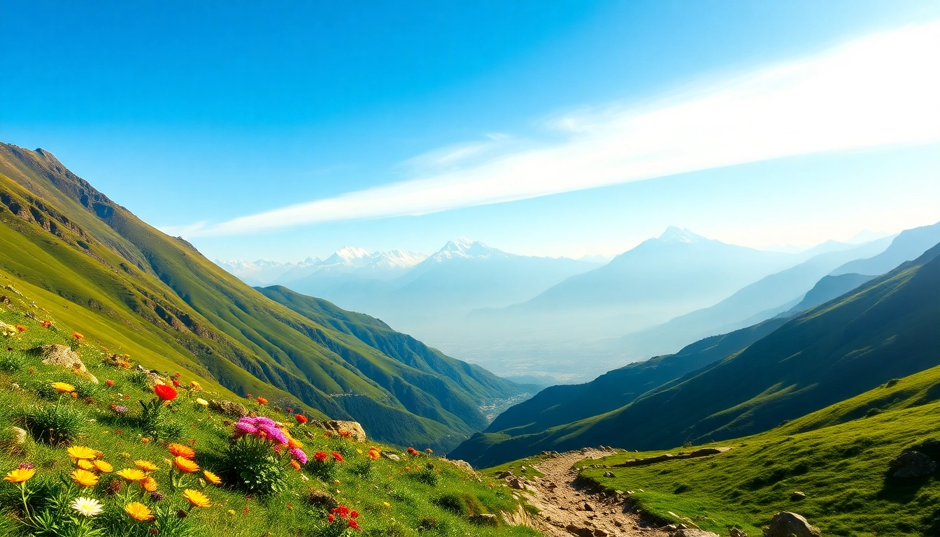 Explore the stunning Sandakphu trek with breathtaking views of Mount Everest and vibrant wildflowers. related image